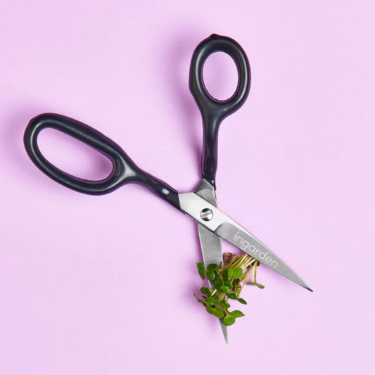 Schere für Microgreens Ernte im indoor garten ingarden