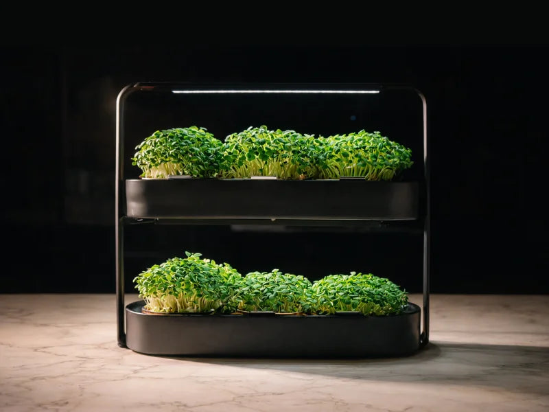 Ingarden duo Hero Section