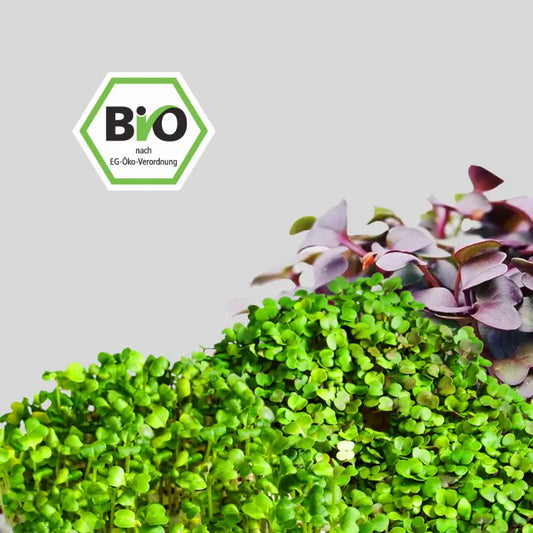 ixed seed refill pack for antioxidant microgreens