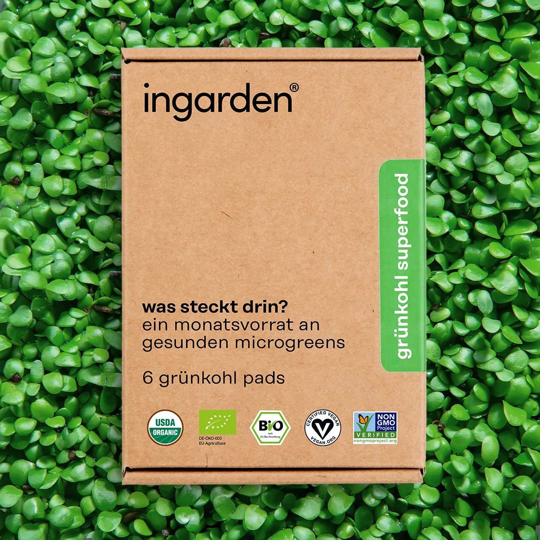 bio-grünkohl superfood (ingarden flex)