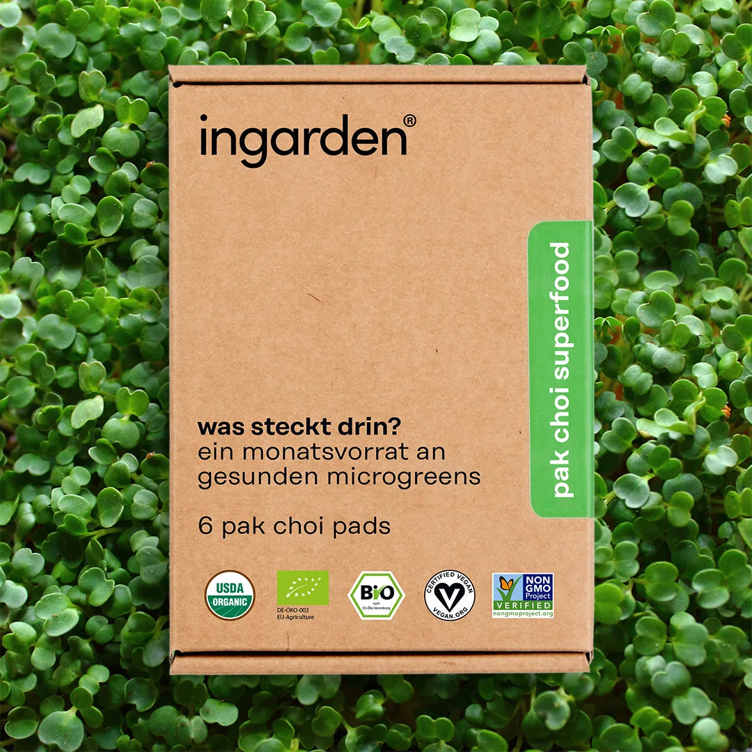 pak choi superfood