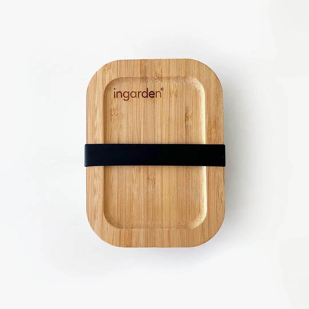 storage box for microgreens for indoor gardening