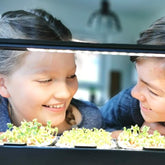 6 Gründe, warum Microgreens für Kinder geeignet sind