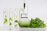 Bio Microgreen-Tee zur Vorbeugung von häufigen Nährstoffdefiziten