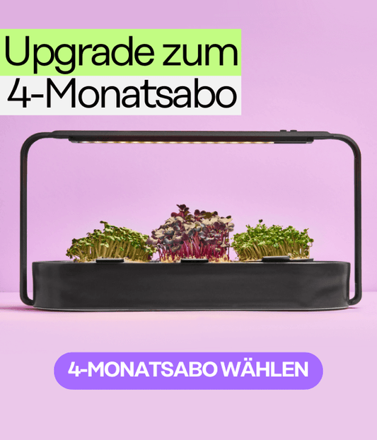 Microgreen 4-Monatsabo - 5 Refills