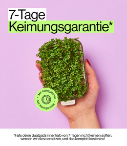 Keimungs Garantie für Kräuter Garten für zu Hause