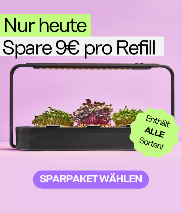 Sparpaket Microgreens - 12 Refills (Einmalkauf)