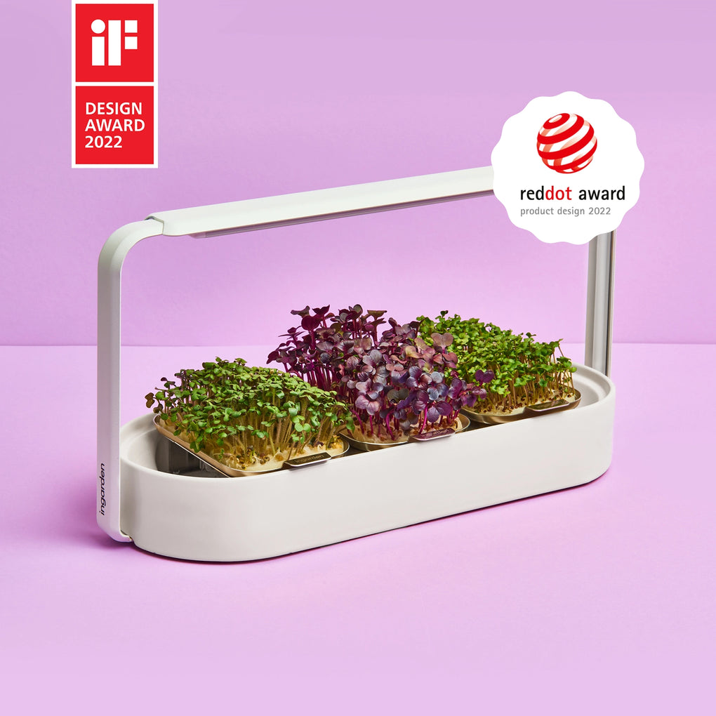 20250225_INGARDEN_WEBSITE_GRAFIKEN_HERO_WEISS