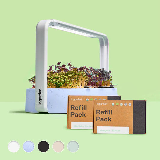 Power Green Starter-Set