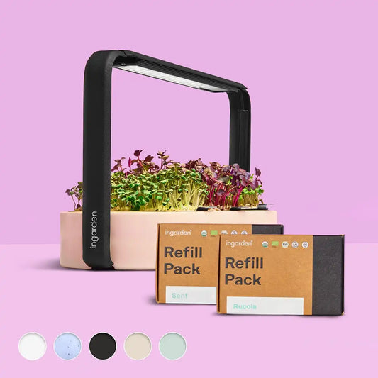 Beauty Bloom Starter-Set