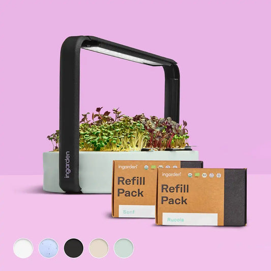 Beauty Bloom Starter-Set