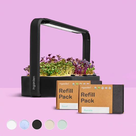 Beauty Bloom Starter-Set
