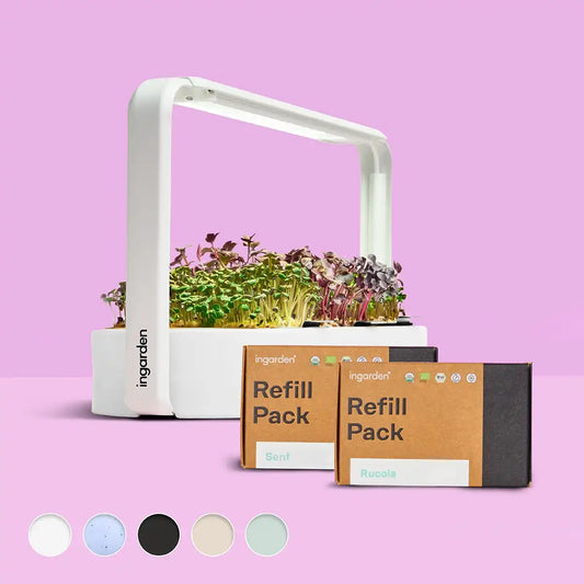 Beauty Bloom Starter-Set