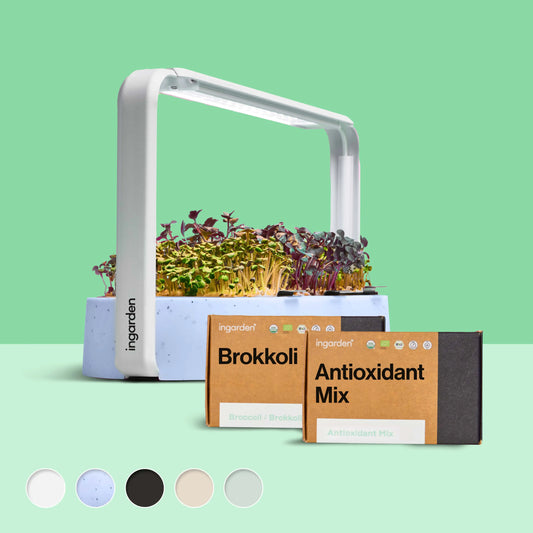 ingarden starterset