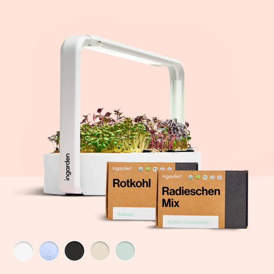 ingarden starterset