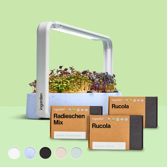 ingarden + Mini Rucola & Radieschen Mix