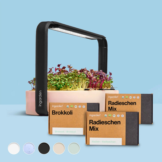 ingarden + Mini Brokkoli & Radieschen Mix