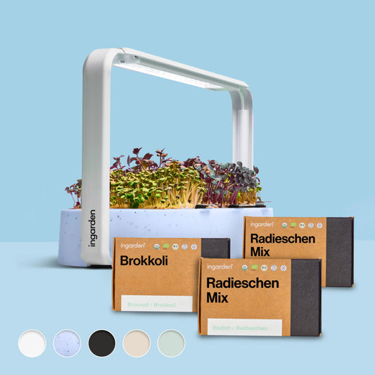 ingarden + Mini Brokkoli & Radieschen Mix