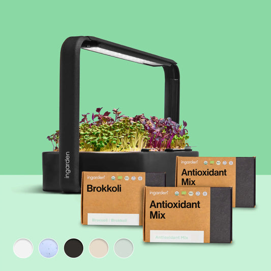 ingarden + Mini Brokkoli & Antioxidant Mix