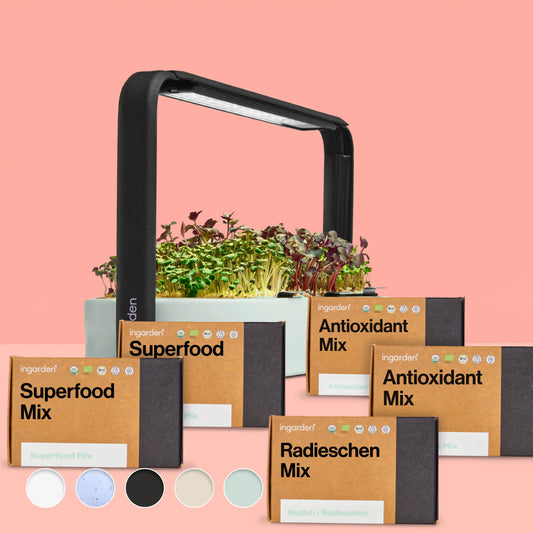 Ingarden + Alle Bestseller Sorten (Sparset Einzelkauf)