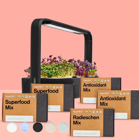 Ingarden + Alle Bestseller Sorten (Sparset Einzelkauf)