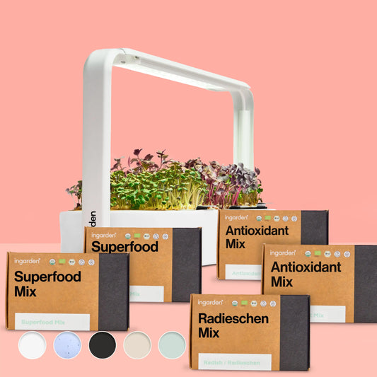 Ingarden + Alle Bestseller Sorten (Sparset Einzelkauf)