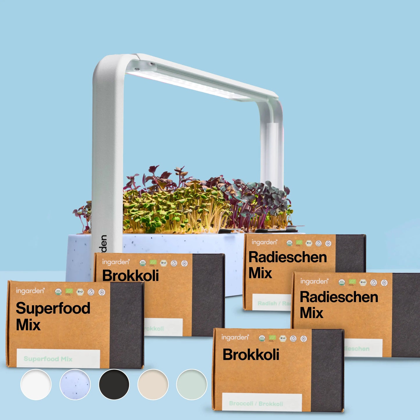 Immunkraft Starter-Set (Sparset Einzelkauf)