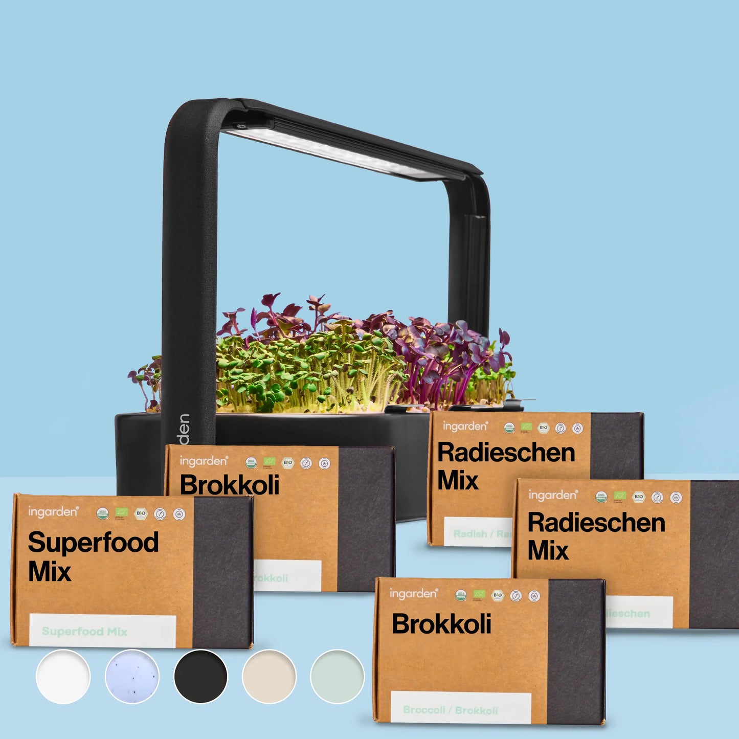 Immunkraft Starter-Set (Sparset Einzelkauf)