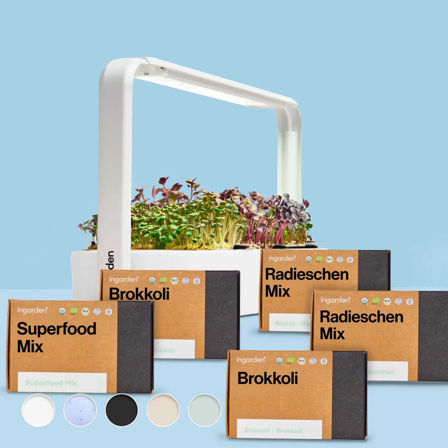 Immunkraft Starter-Set (Sparset Einzelkauf)