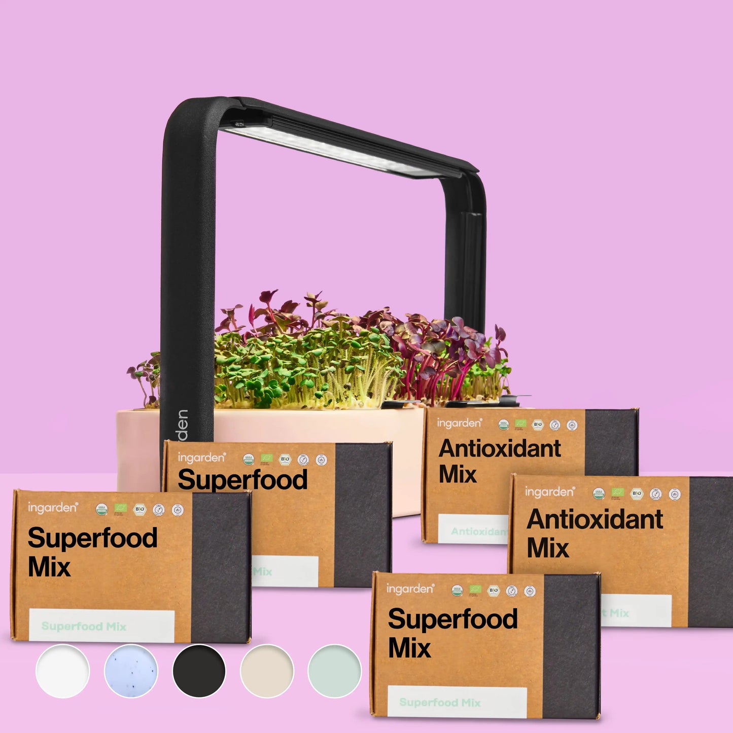 Klarblüte Starter-Set (Sparset Einzelkauf)