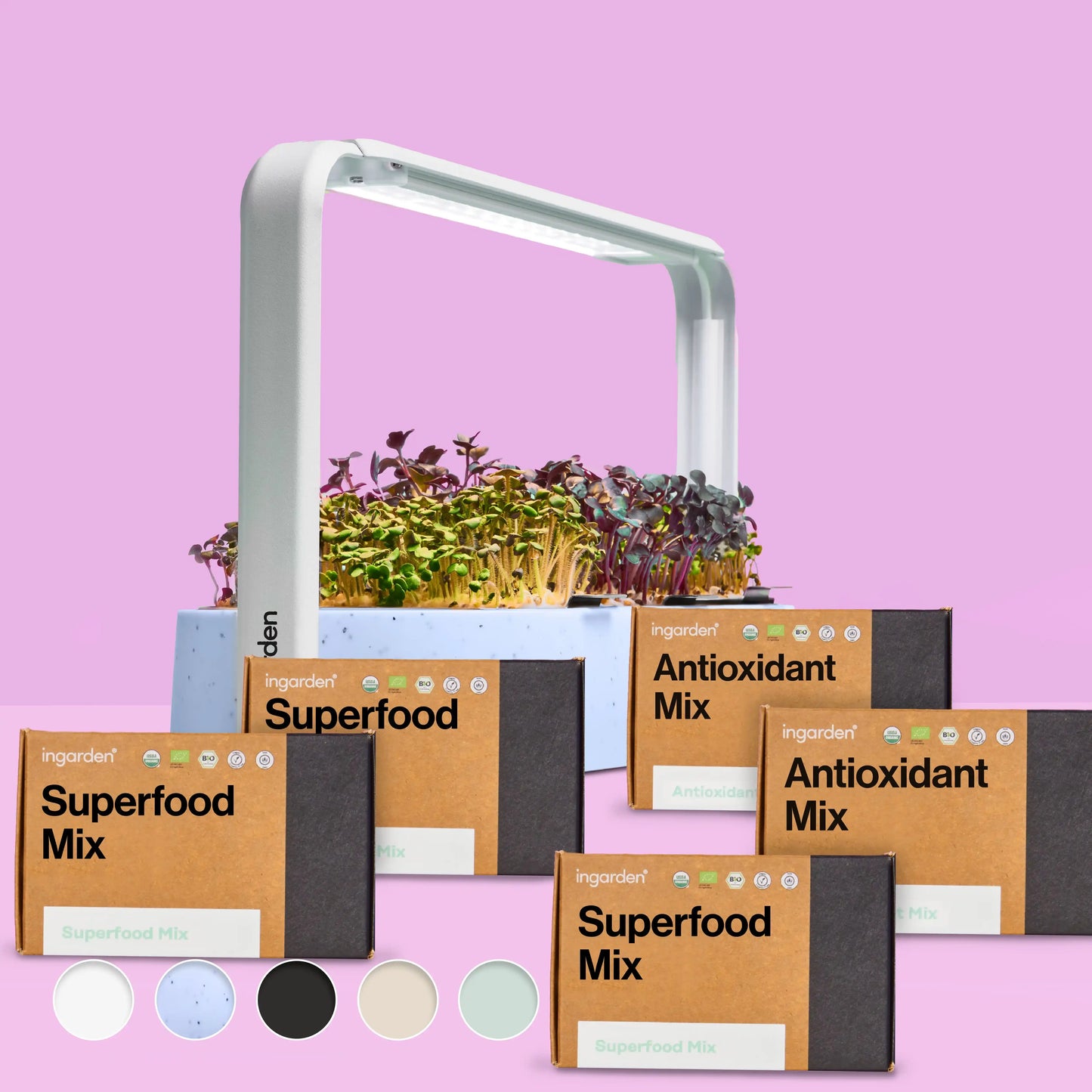 Klarblüte Starter-Set (Sparset Einzelkauf)