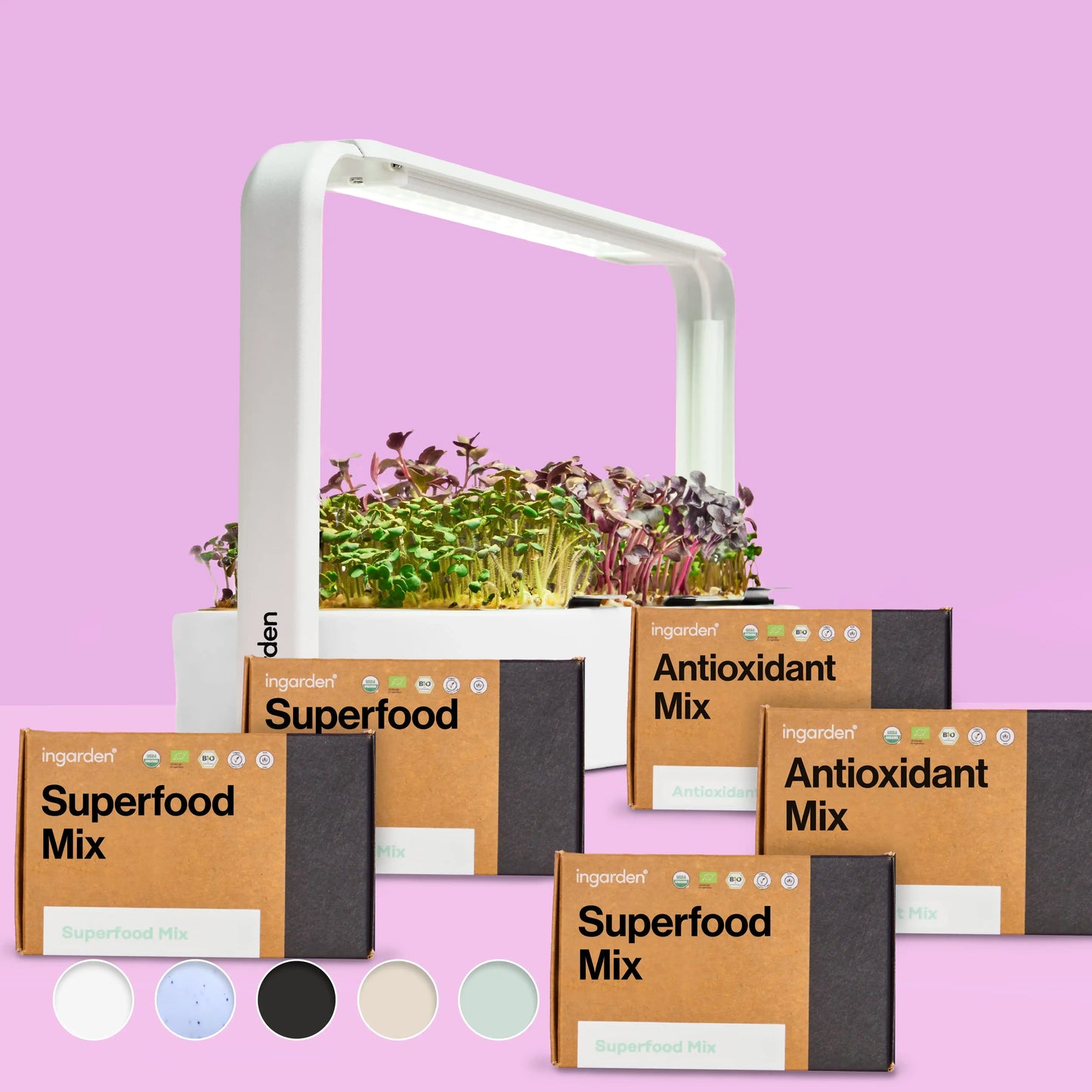 Klarblüte Starter-Set (Sparset Einzelkauf)