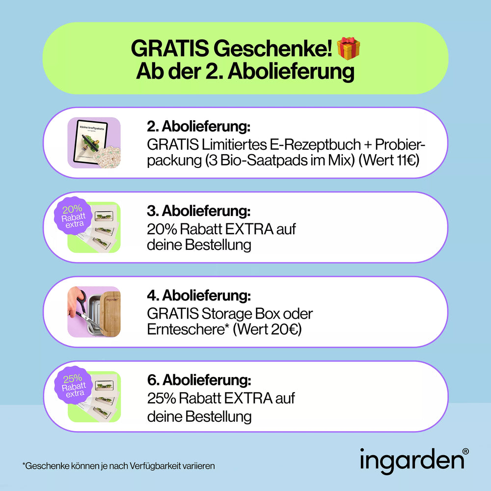 Ingarden loyalty grafik ohne dochte desktop