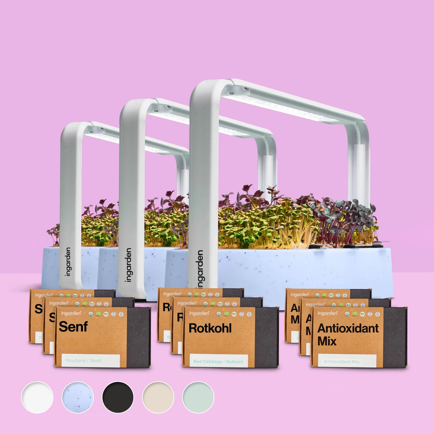 Starter-Set mit 3 ingarden