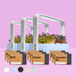 INGARDEN HERO IMAGES 3ER SET V1 OZEAN 11zon