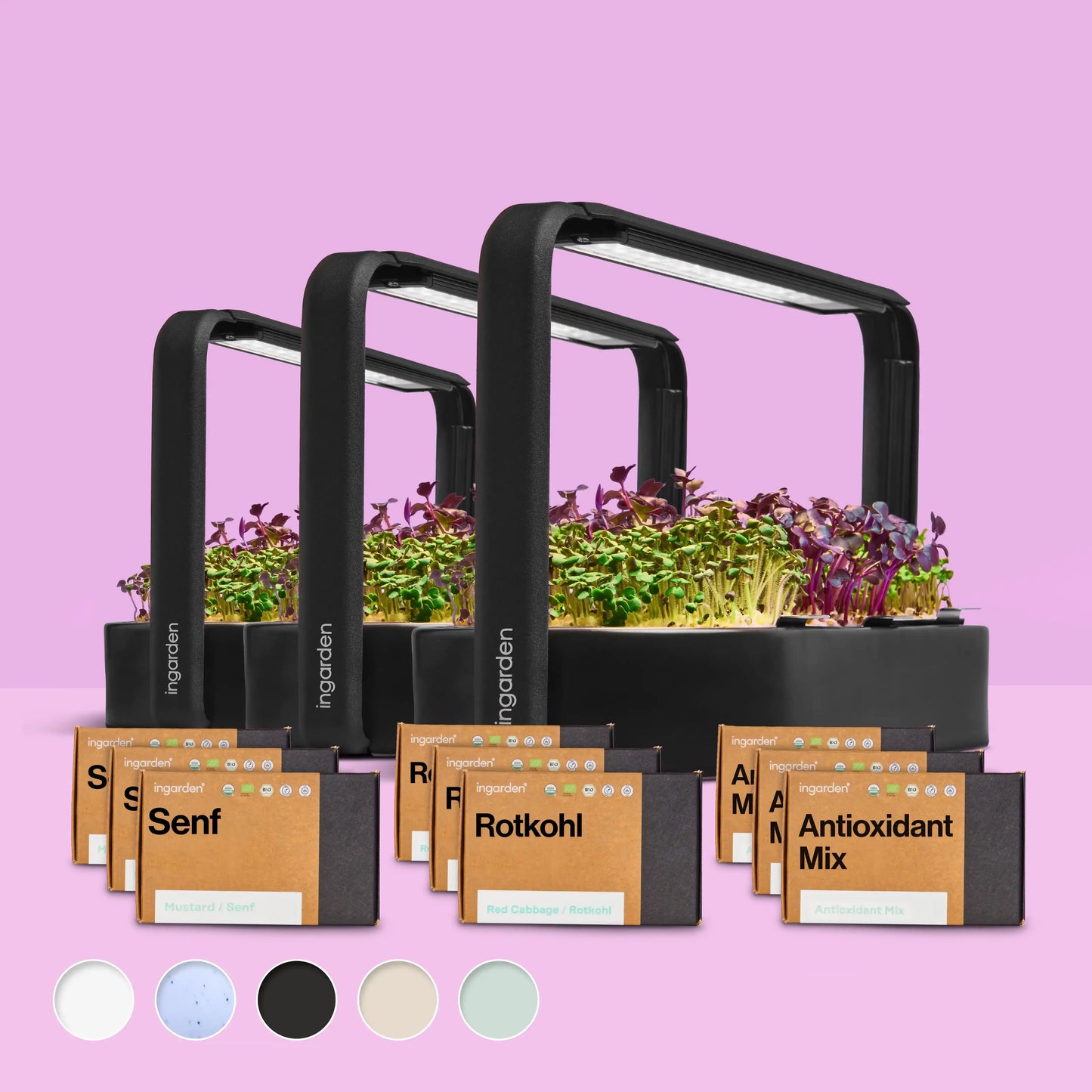 Starter-Set mit 3 ingarden