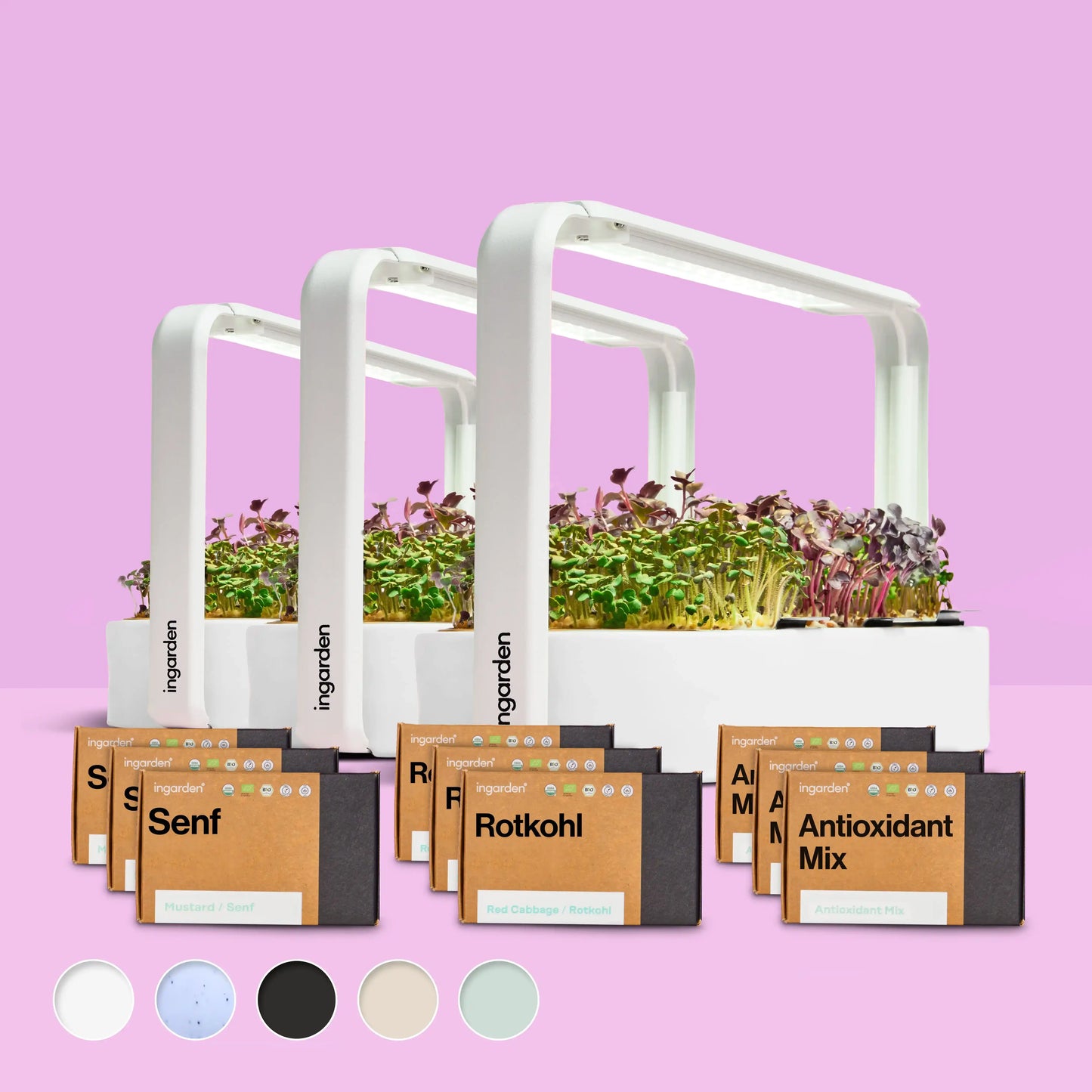 Starter-Set mit 3 ingarden