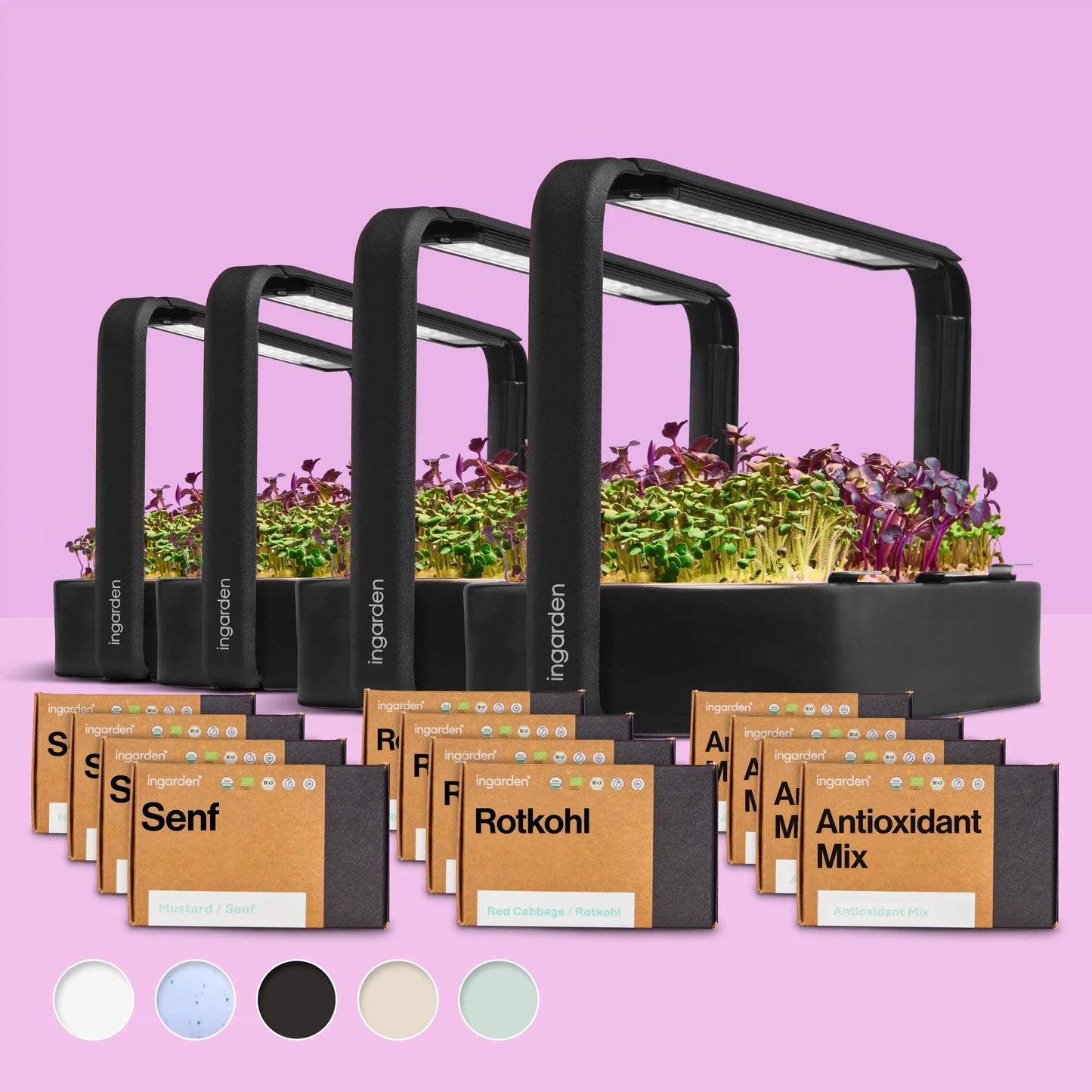 Starter-Set mit 4 ingarden