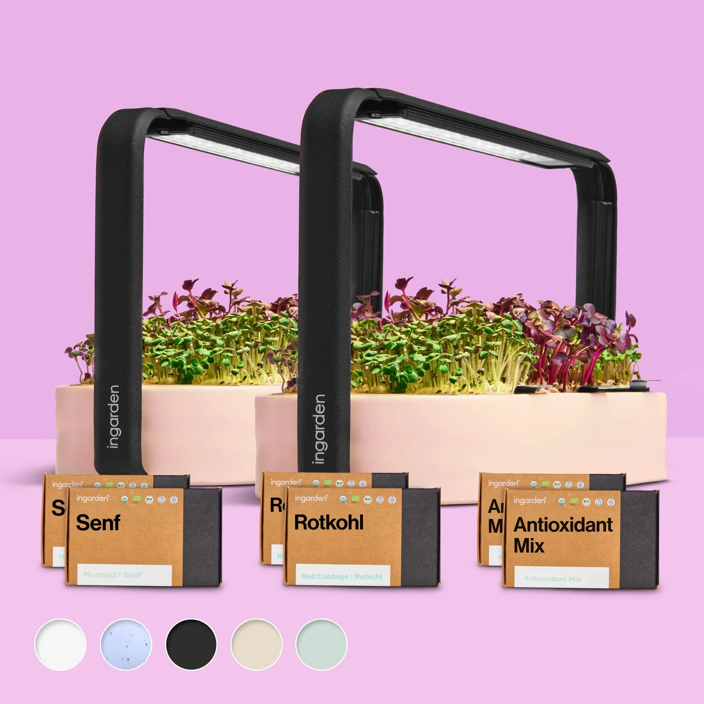 Starter-Set mit 2 ingarden