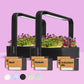 INGARDE HERO IMAGES 2INGARDEN 6REFILLS SCHWARZ min 1