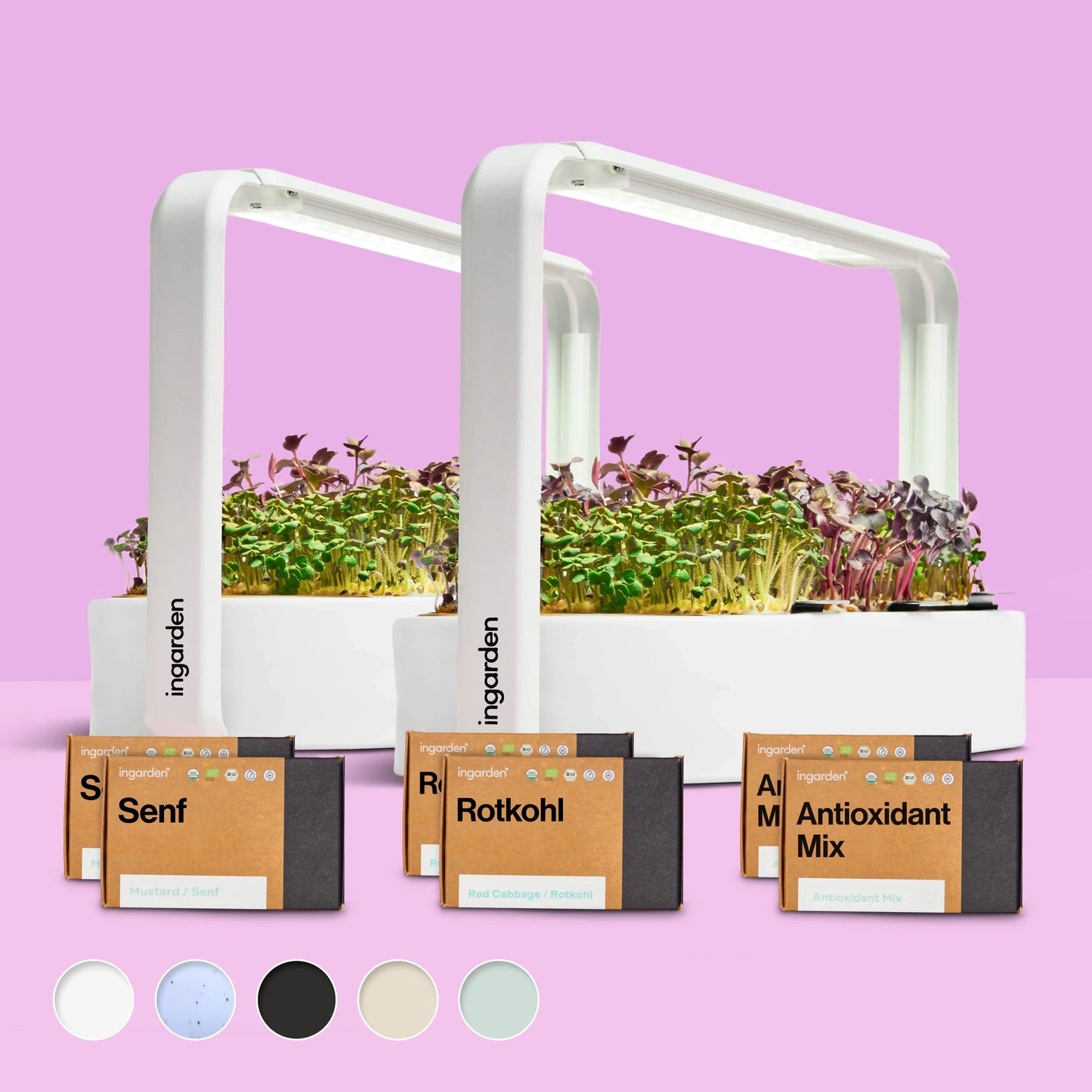 Starter-Set mit 2 ingarden