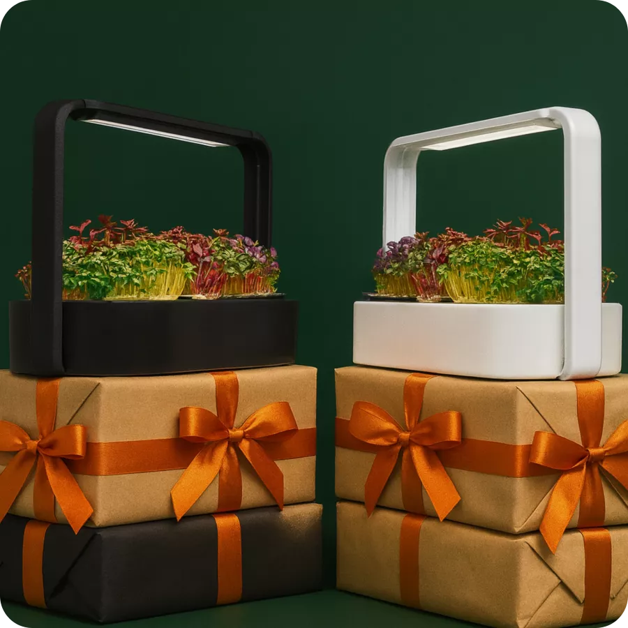 Bundle Products