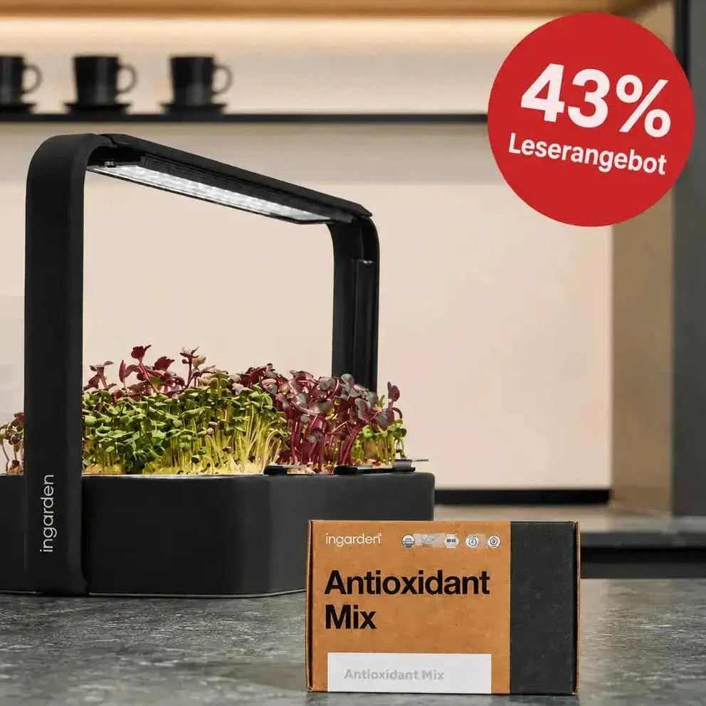 Exklusives Leser-Angebot