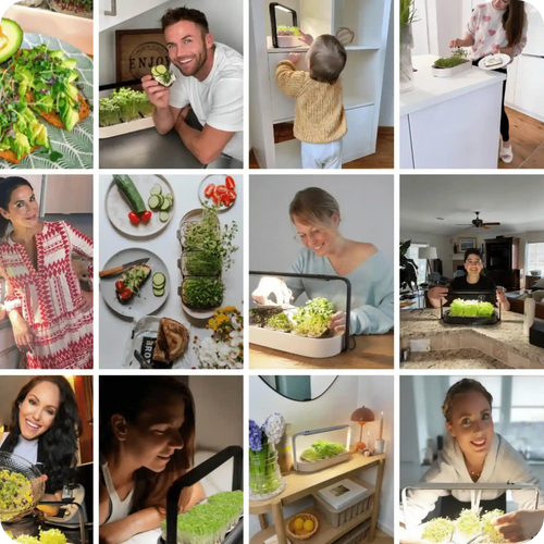 ingarden Microgreens