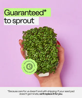 ingarden Germination Guarantee