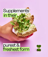 Ingarden Slogan Food