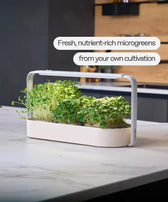 Bestseller Set ingarden EU cultivation image