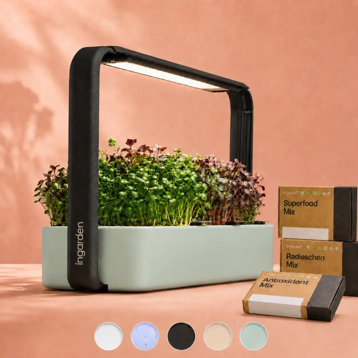 ingarden + All best-selling varieties