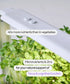 Microgreens for docus & cognitive function