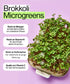 Nährstoffe für Brokkoli vitaminreiche Microgreens
